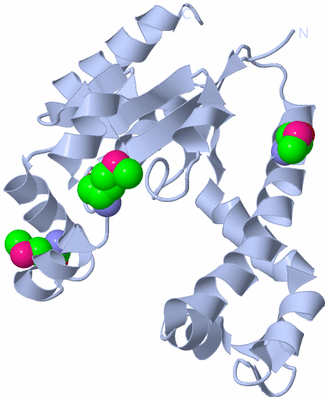 Image Biological Unit 1