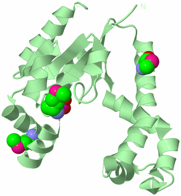 Image Biological Unit 2
