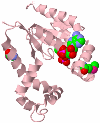 Image Biological Unit 3