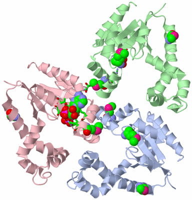 Image Asym. Unit - sites