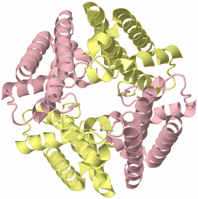 Image Biological Unit 3