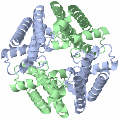 Image Biological Unit 4