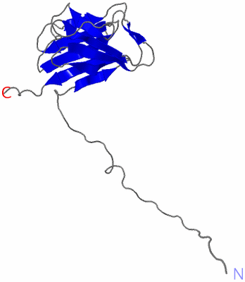 Image NMR Structure - model 1
