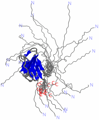 Image NMR Structure - all models