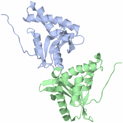 Image Biological Unit 3