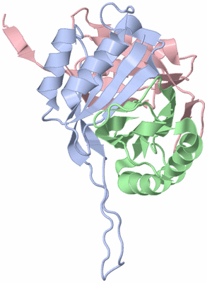 Image Biological Unit 1