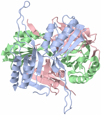 Image Biological Unit 2