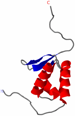 Image NMR Structure - model 1