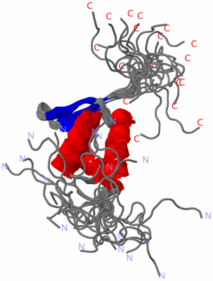 Image NMR Structure - all models