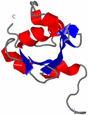 Image NMR Structure - model 1