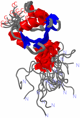 Image NMR Structure - all models