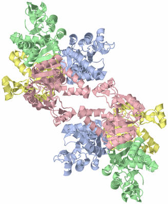 Image Biological Unit 2