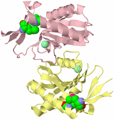 Image Biological Unit 2