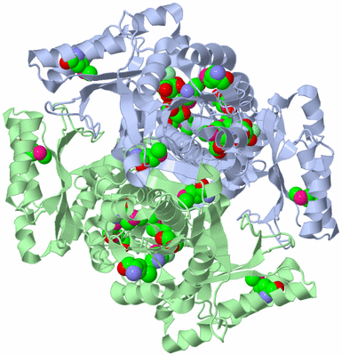 Image Biological Unit 2