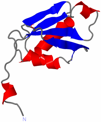 Image NMR Structure - model 1