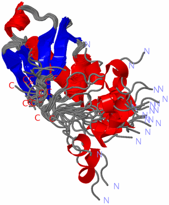 Image NMR Structure - all models