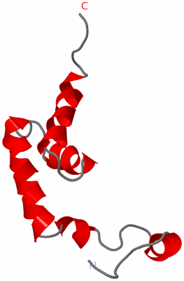 Image NMR Structure - model 1