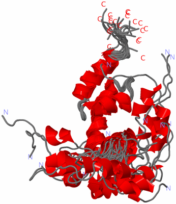 Image NMR Structure - all models