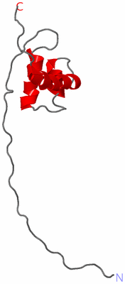 Image NMR Structure - model 1