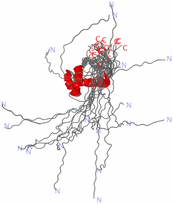 Image NMR Structure - all models