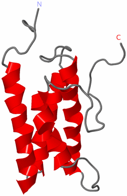 Image NMR Structure - model 1