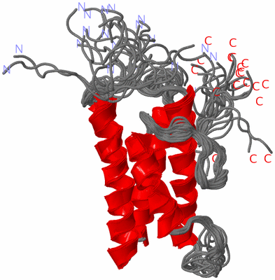 Image NMR Structure - all models