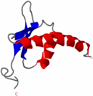 Image NMR Structure - model 1