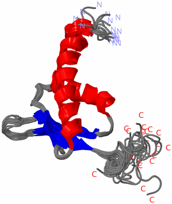 Image NMR Structure - all models