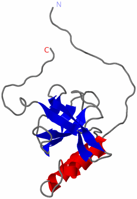 Image NMR Structure - model 1