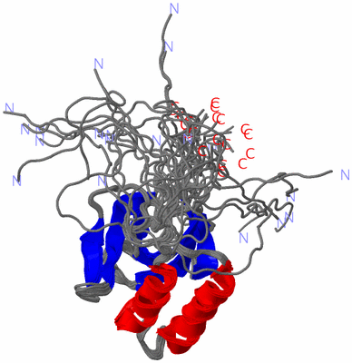 Image NMR Structure - all models