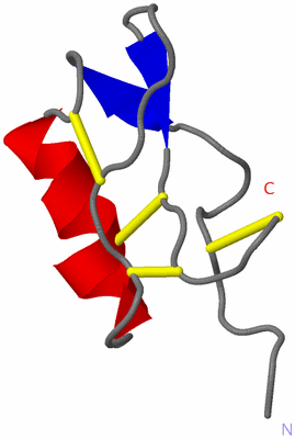 Image NMR Structure - model 1