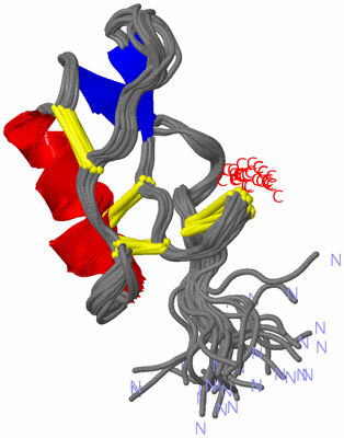 Image NMR Structure - all models