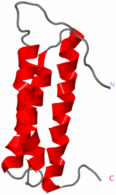 Image NMR Structure - model 1