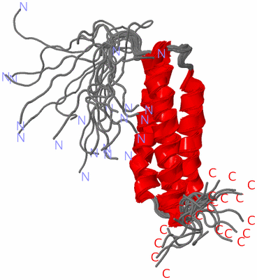 Image NMR Structure - all models