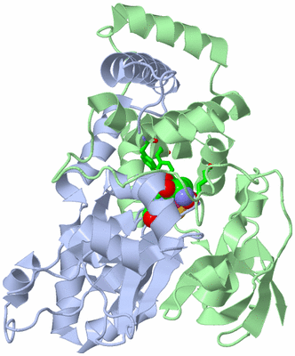 Image Biol. Unit 1 - sites