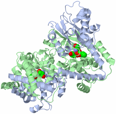 Image Biological Unit 2