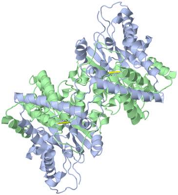 Image Biological Unit 2