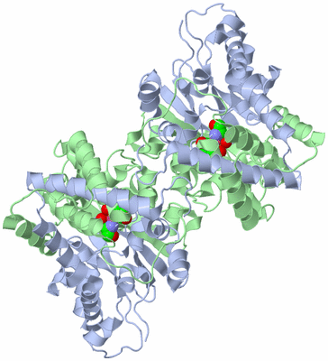 Image Biological Unit 2