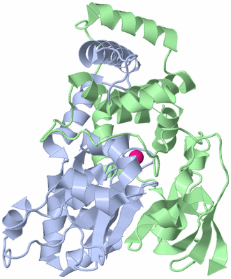 Image Biological Unit 1