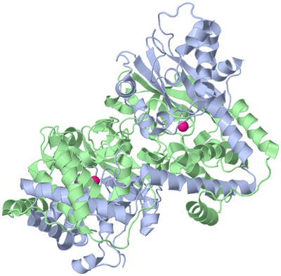 Image Biological Unit 2