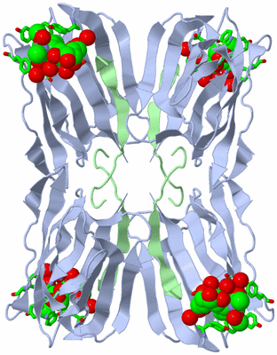 Image Biol. Unit 1 - sites