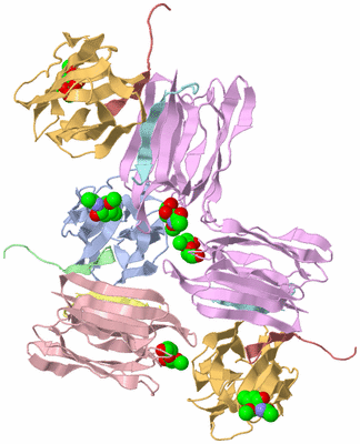 Image Biological Unit 3