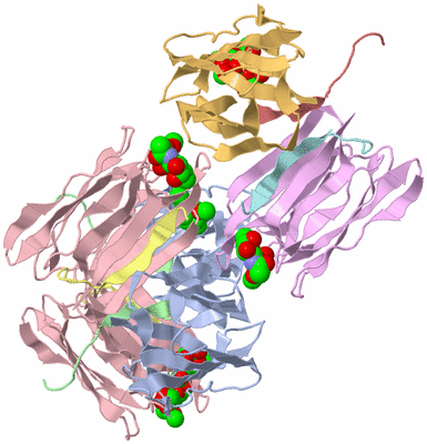 Image Biological Unit 3