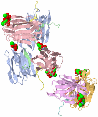 Image Biological Unit 4