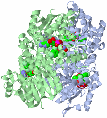 Image Biological Unit 1