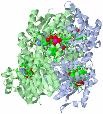 Image Biol. Unit 1 - sites