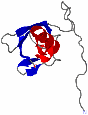 Image NMR Structure - model 1