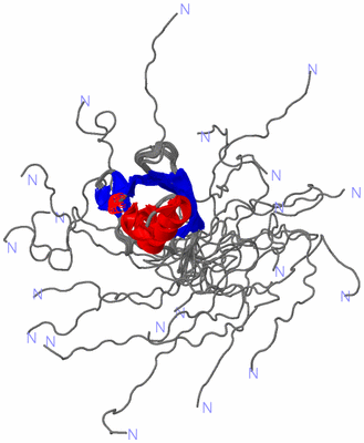 Image NMR Structure - all models