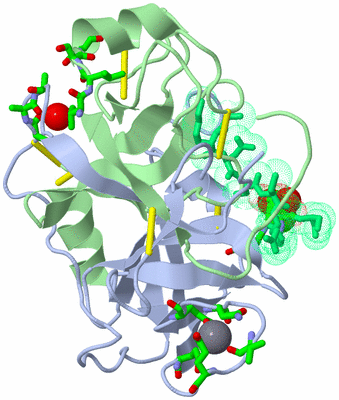 Image Asym./Biol. Unit - sites