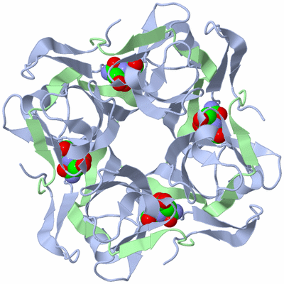 Image Biological Unit 1